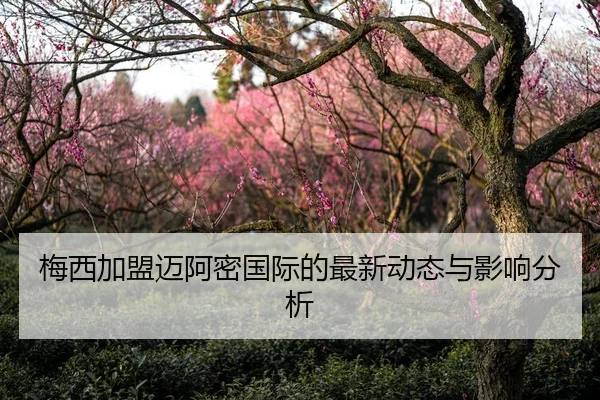 梅西加盟迈阿密国际的最新动态与影响分析